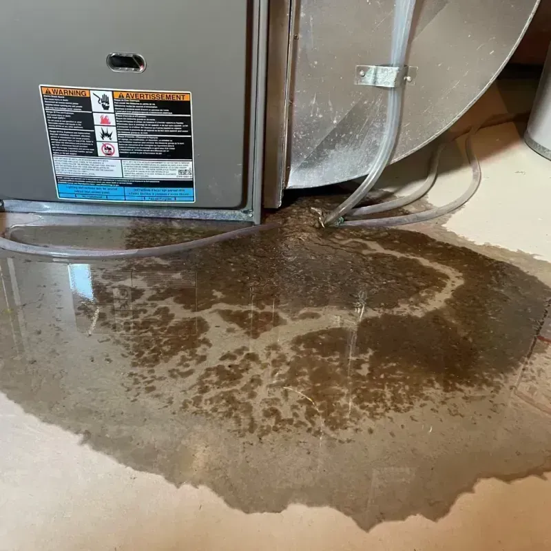 Appliance Leak Cleanup in Genesee, CO